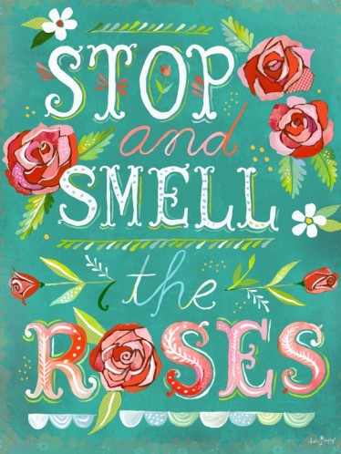 stop-and-smell-the-roses_nb19435_1